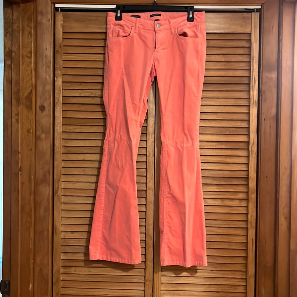 Wild fable pants